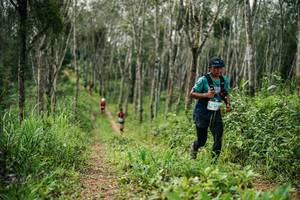 BIB: 
                            <button type="button" onclick="openModal(26293109)" class="btn btn-primary btn-sm float-right btn-popup" data-toggle="modal" data-target=".modal-high-quality">
                        <i class="fas fa-shopping-cart"></i> Add to Cart
                    </button>
                                            <button type="button" onclick="isThisMe(26293109, true)" class="btn btn-success btn-sm float-right btn-popup btn-isme hidden" data-toggle="tooltip" data-placement="bottom" title="นี่คือรูปของคุณใช่ไหม คลิกที่นี่เพื่อเอาเข้าอัลบั้ม">
                        <i class="fas fa-plus"></i> Add to album
                    </button>
                    <button type="button" onclick="isThisMe(26293109, false)" class="btn btn-warning btn-sm float-right btn-popup btn-isnotme hidden">
                        <i class="fas fa-ban"></i> Remove from album
                    </button>